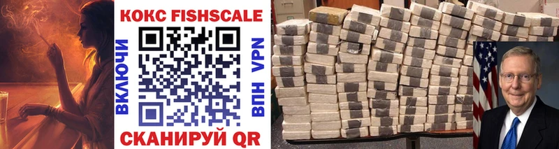 Cocaine FishScale где продают Инза