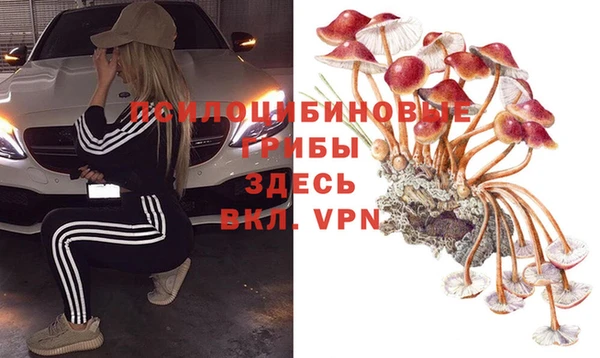 мескалин Вяземский