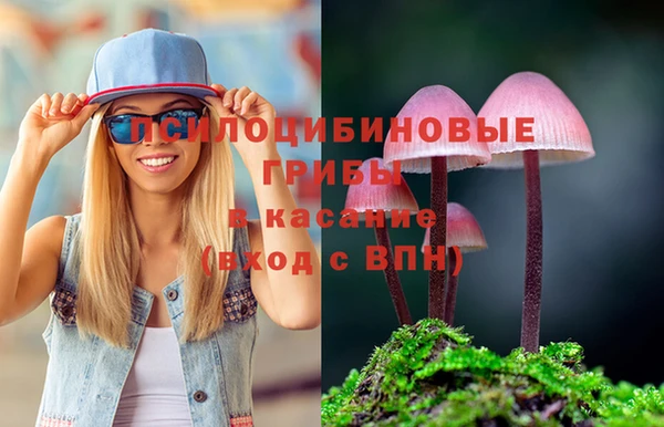 прущая мука Бронницы